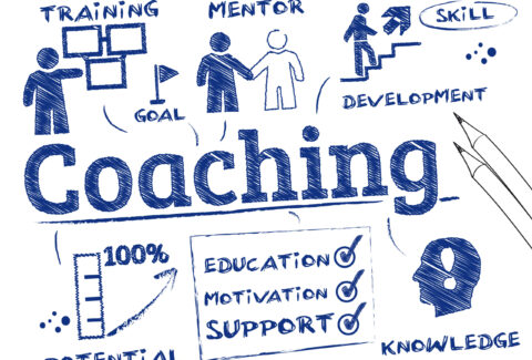 mentor